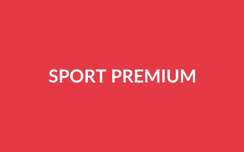 Chaînes sport premium